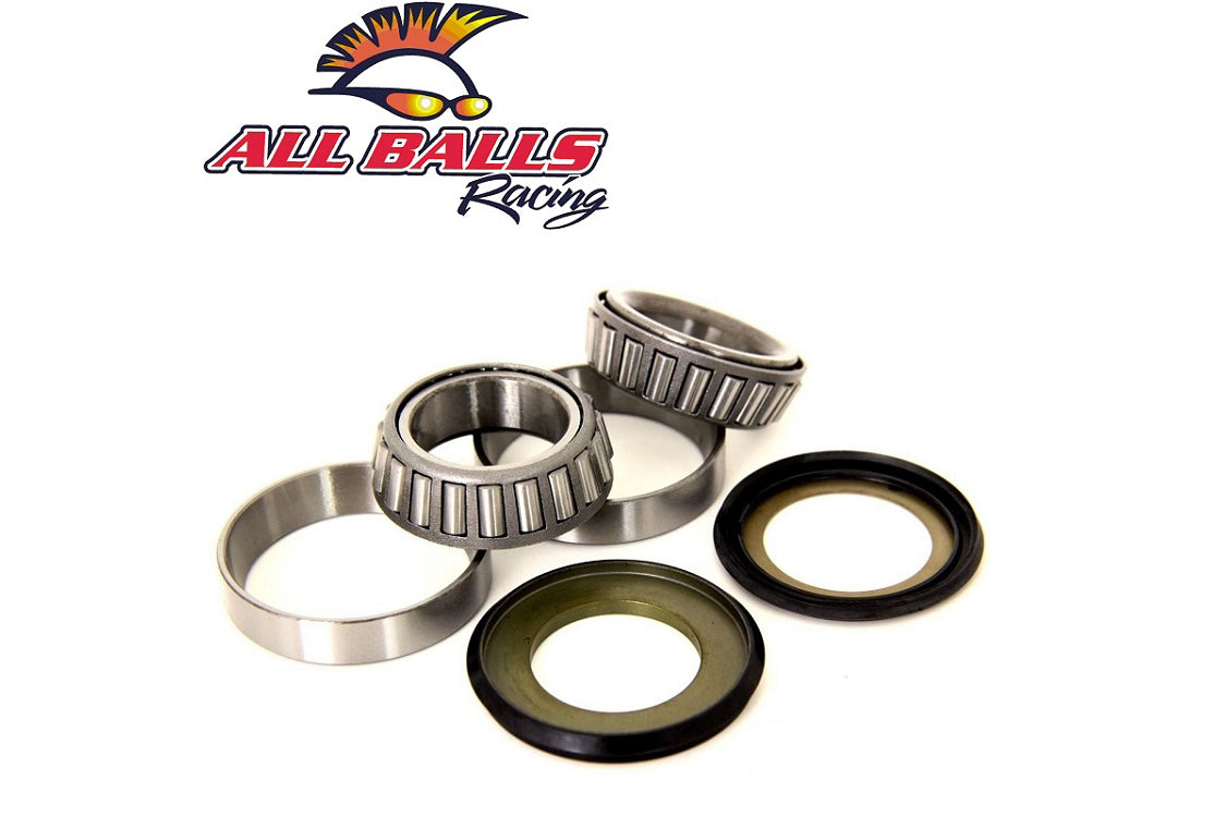 Steering Bearing Kit (1039)