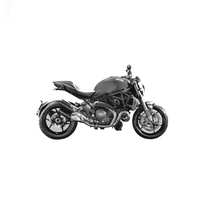 Ducati Panigale 1299/R/S (2012-2015)