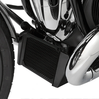 BMW R 18 Protection - Oil Cooler Guard
