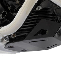 BMW R 12 nineT Protection - SKID PLATE