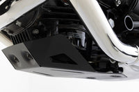 BMW R 12 nineT Protection - SKID PLATE
