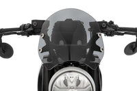 BMW R 12 Ergonomics - Windshield
