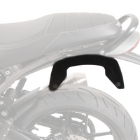 Triumph Speed 400 Carrier -  C-Bow