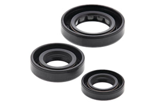 Engine Oil Seal Kit (822180)