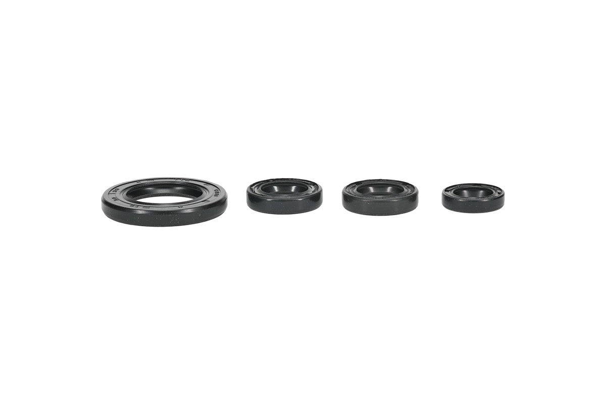 Engine Oil Seal Kit (822395)