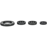 Engine Oil Seal Kit (822395)