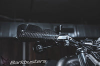 Carbon Guards - Barkbusters
