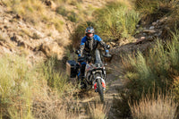 Ducati Desert X Protection - Radiator Guard
