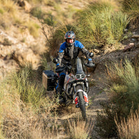 Ducati Desert X Protection - Radiator Guard