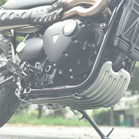 Triumph Protection - Skid Plate.